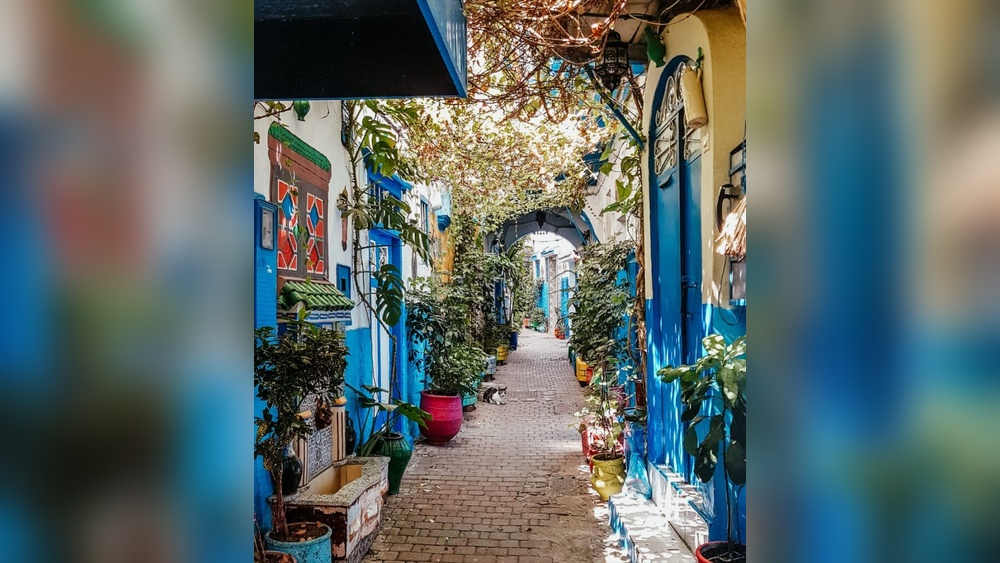 Day Trip from Tangier: Discover Hidden Gems & Scenic Wonders