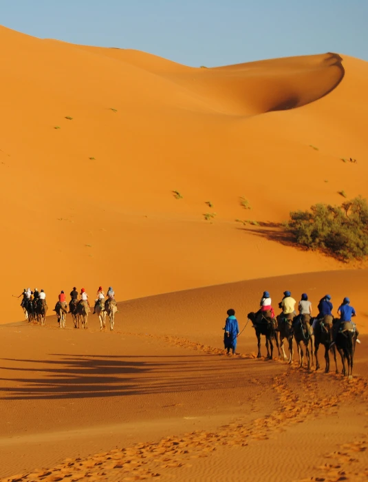 graphe-tween-Zqp2R3CjQLk-unsplash (1)