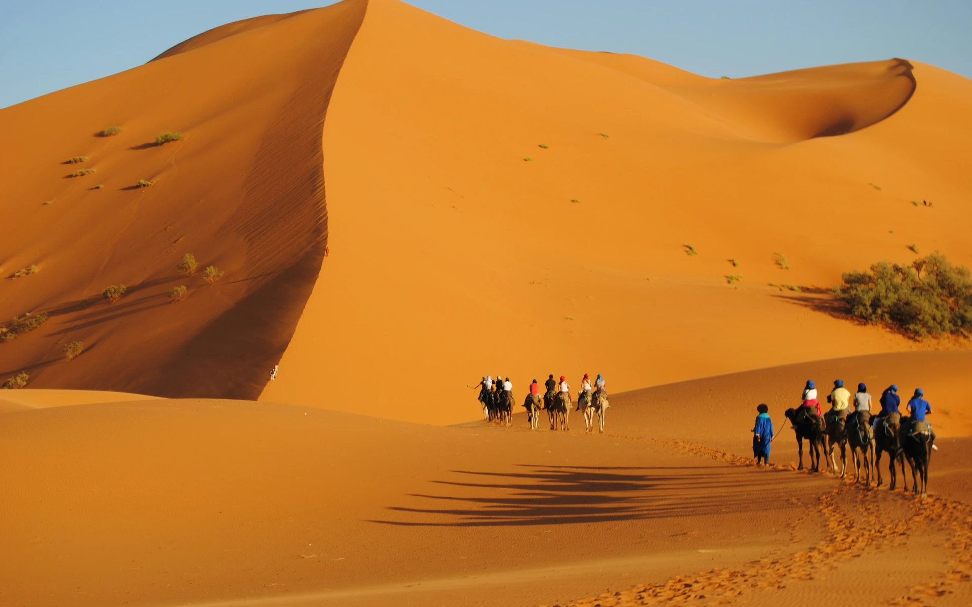 8-Day Morocco Desert Tour: Casablanca to Tangier via Sahara, Marrakech, Fes & Chefchaouen