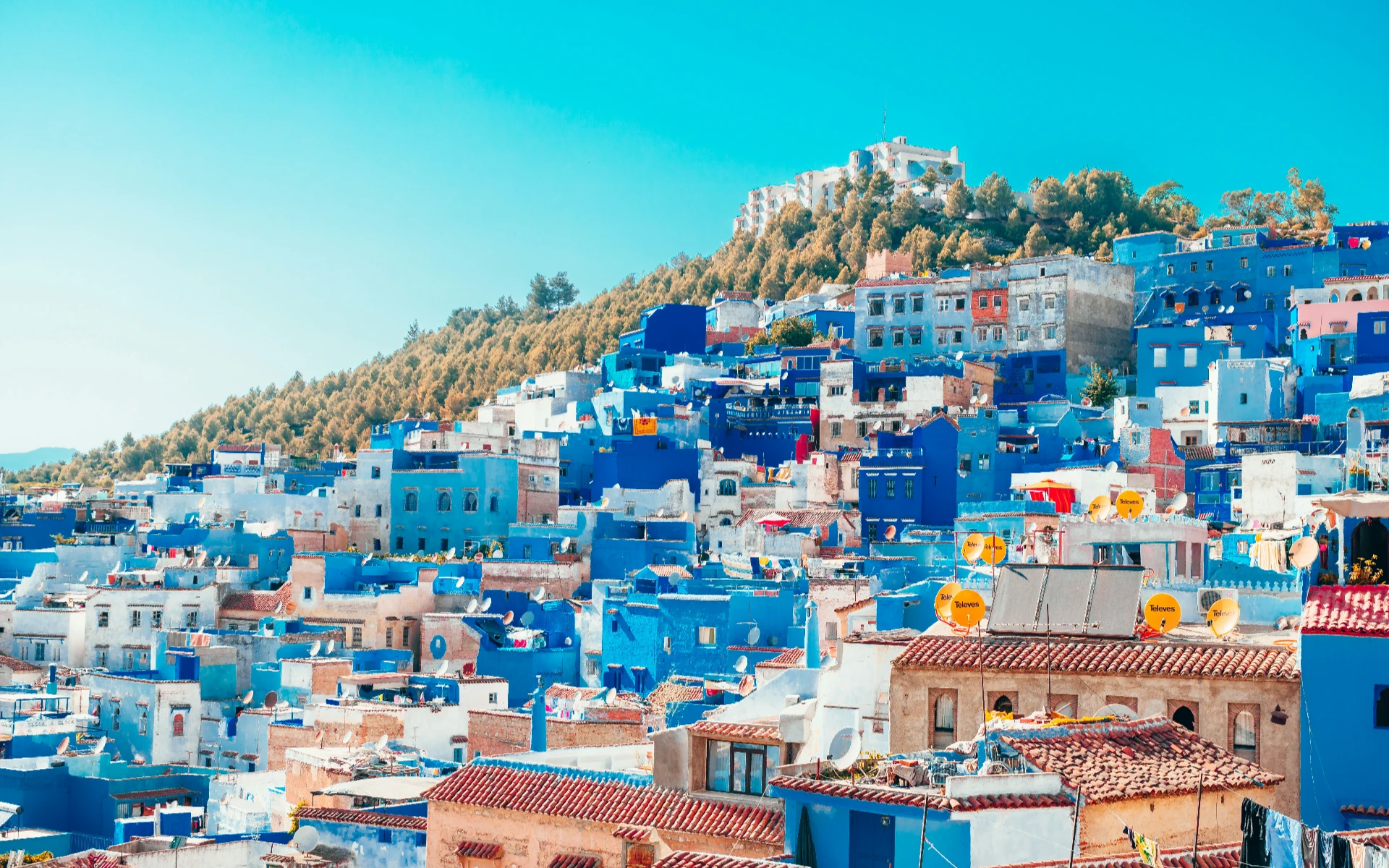 heidi-kaden-NncAbldgViA-unsplash (1)