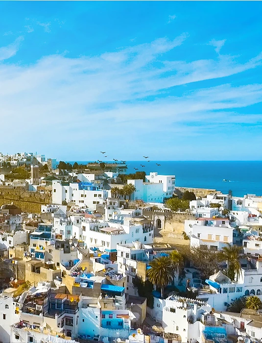 kamal-bilal-NXNYSZSltck-unsplash (2) (1)