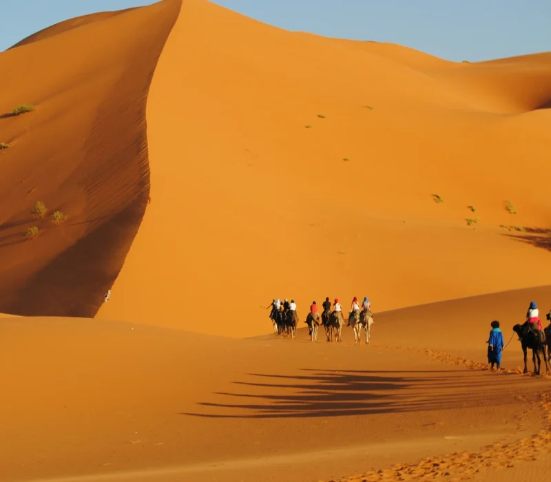 graphe-tween-Zqp2R3CjQLk-unsplash