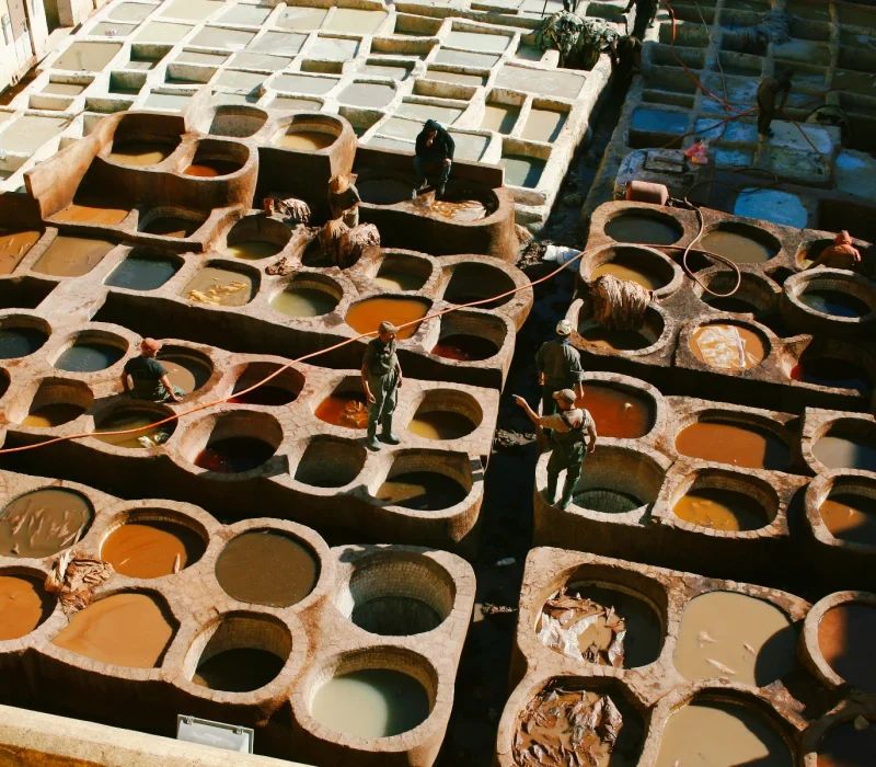 linn-legros-PKuCjcm0jrs-unsplash