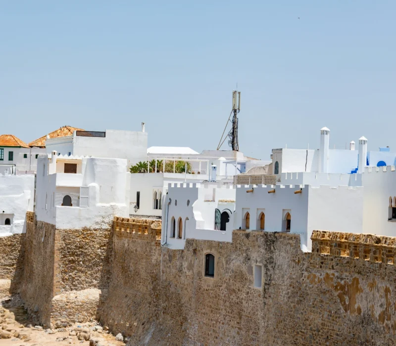 pexels-diego-f-parra-33199-25254991